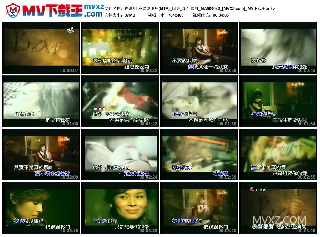 严淑明-不要说我坏(MTV)_国语_流行歌曲_MA500043